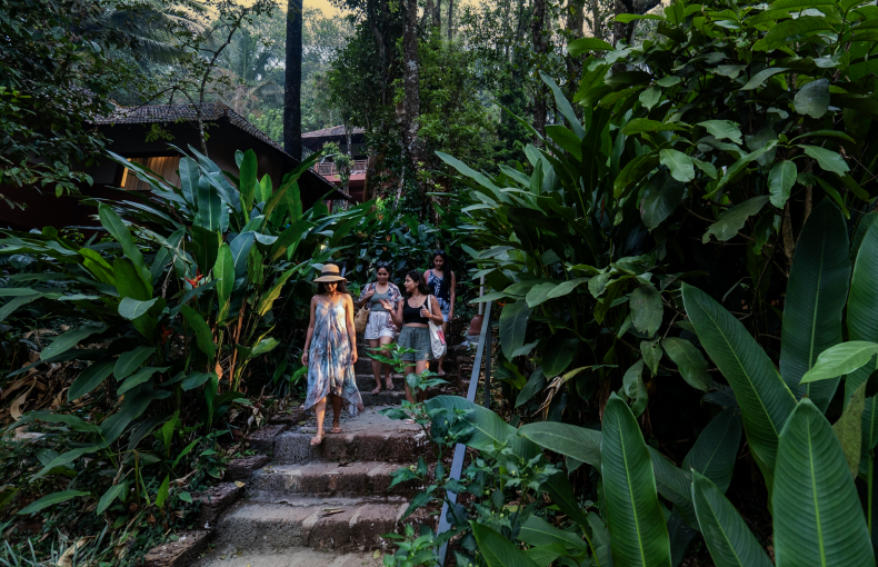 Scenic Wayanad nature experience at Terrace Resorts