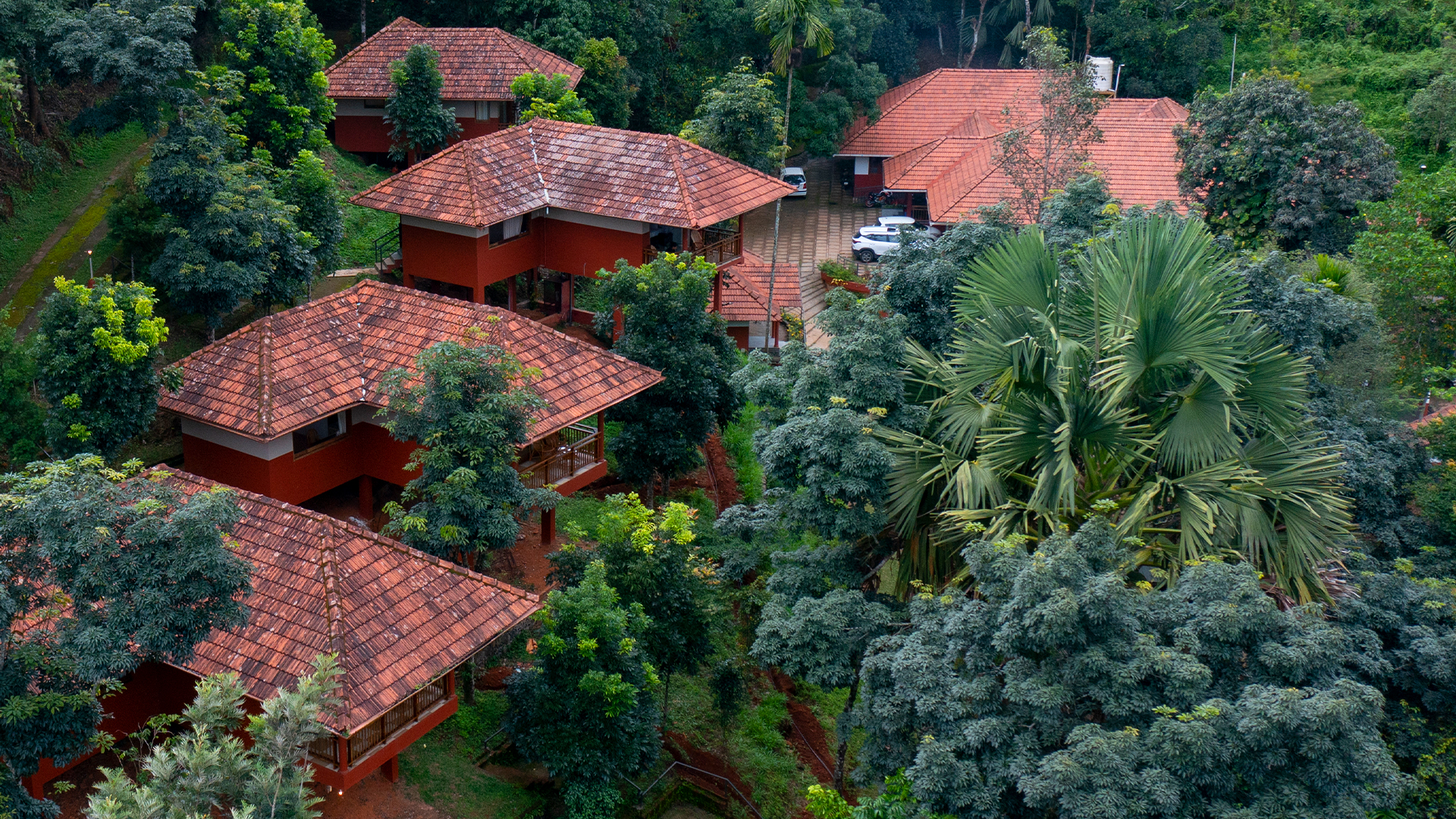Luxury villas surrounded by pristine woods at Terrace Resorts Wayanad